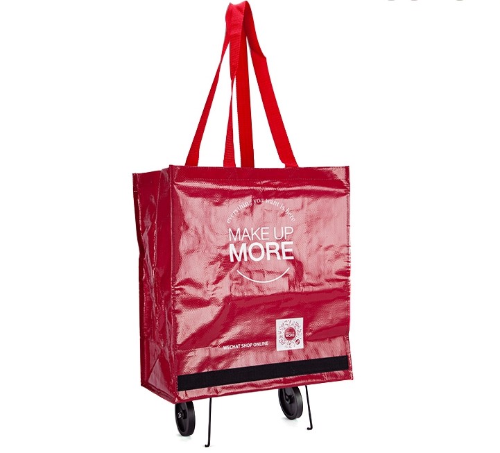 Surprisingly! Shopping Bag With Wheels?!
